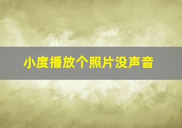 小度播放个照片没声音