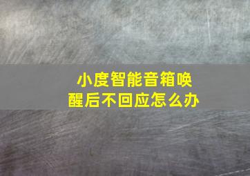 小度智能音箱唤醒后不回应怎么办