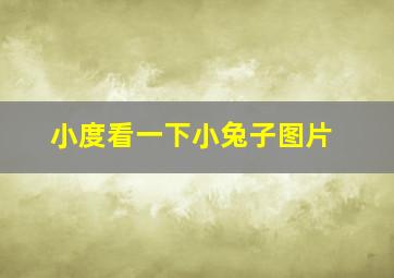 小度看一下小兔子图片