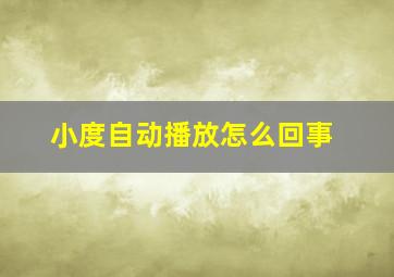 小度自动播放怎么回事