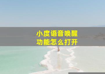 小度语音唤醒功能怎么打开