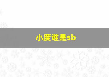 小度谁是sb