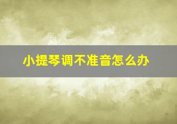 小提琴调不准音怎么办