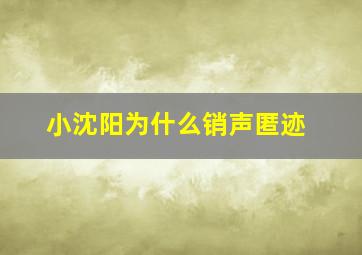 小沈阳为什么销声匿迹