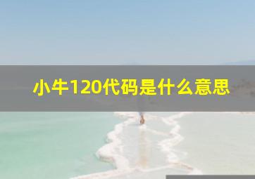 小牛120代码是什么意思