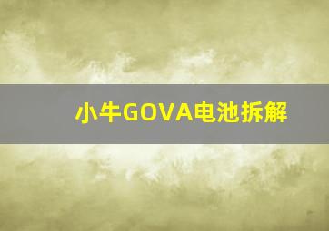 小牛GOVA电池拆解