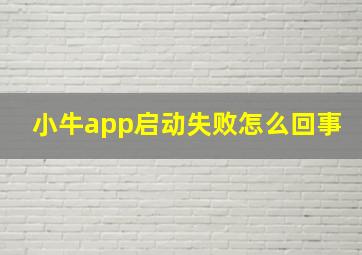 小牛app启动失败怎么回事