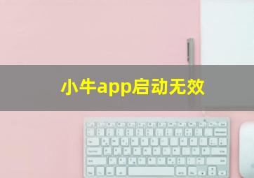 小牛app启动无效