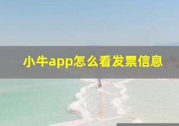 小牛app怎么看发票信息