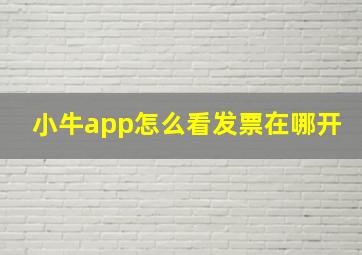 小牛app怎么看发票在哪开