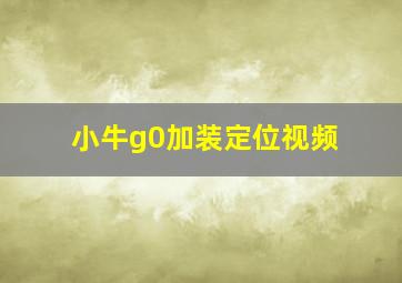 小牛g0加装定位视频