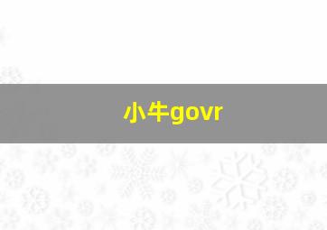 小牛govr