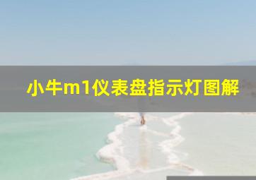 小牛m1仪表盘指示灯图解