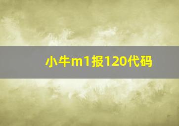 小牛m1报120代码