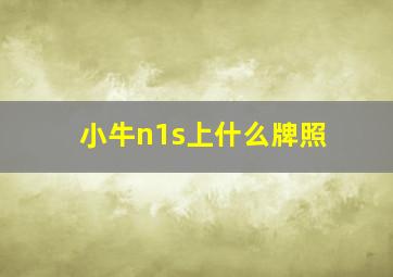 小牛n1s上什么牌照