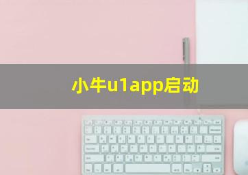 小牛u1app启动