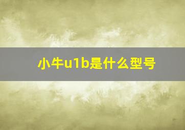 小牛u1b是什么型号