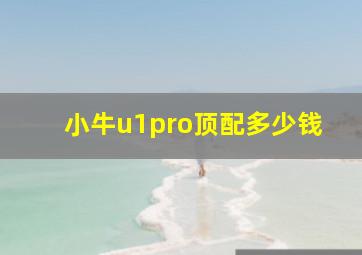 小牛u1pro顶配多少钱