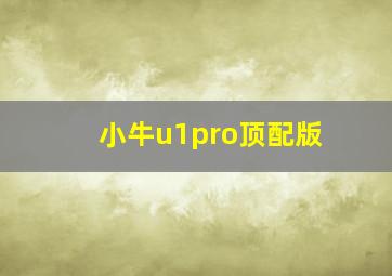 小牛u1pro顶配版