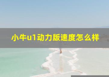 小牛u1动力版速度怎么样