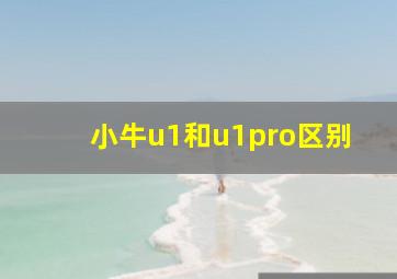 小牛u1和u1pro区别