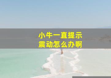 小牛一直提示震动怎么办啊