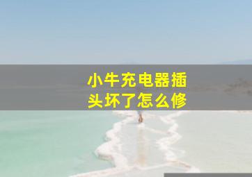 小牛充电器插头坏了怎么修