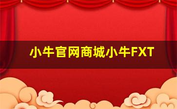 小牛官网商城小牛FXT