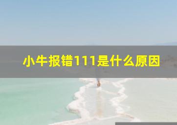 小牛报错111是什么原因