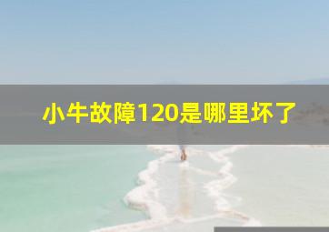 小牛故障120是哪里坏了