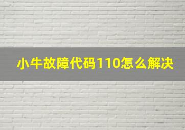 小牛故障代码110怎么解决