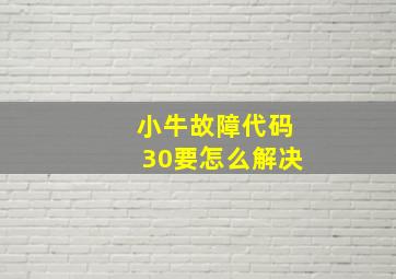 小牛故障代码30要怎么解决