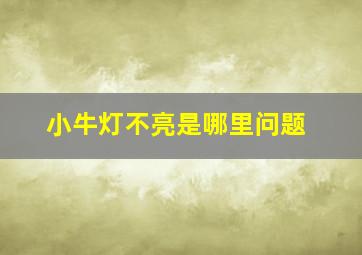 小牛灯不亮是哪里问题