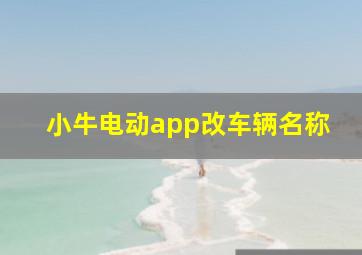 小牛电动app改车辆名称