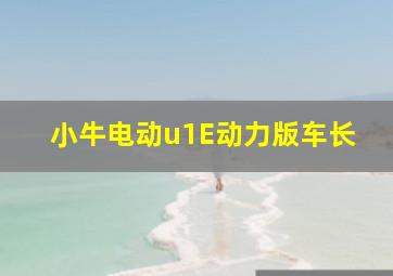 小牛电动u1E动力版车长