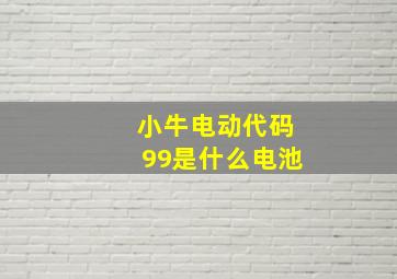 小牛电动代码99是什么电池