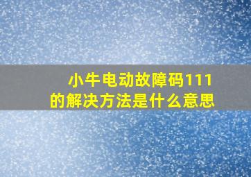 小牛电动故障码111的解决方法是什么意思