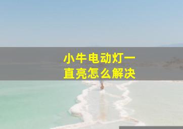 小牛电动灯一直亮怎么解决