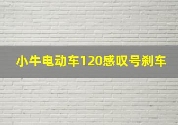 小牛电动车120感叹号刹车