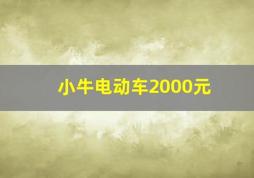 小牛电动车2000元