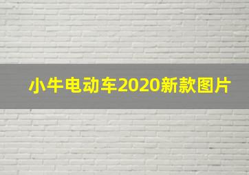 小牛电动车2020新款图片