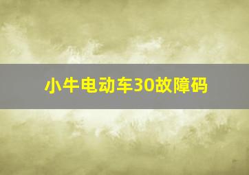 小牛电动车30故障码