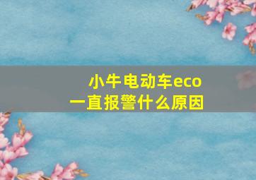 小牛电动车eco一直报警什么原因