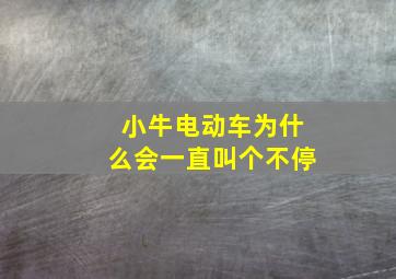 小牛电动车为什么会一直叫个不停