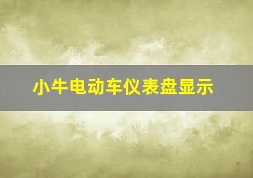 小牛电动车仪表盘显示