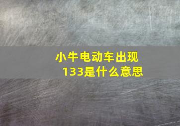 小牛电动车出现133是什么意思