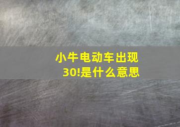 小牛电动车出现30!是什么意思