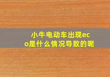 小牛电动车出现eco是什么情况导致的呢