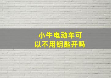 小牛电动车可以不用钥匙开吗