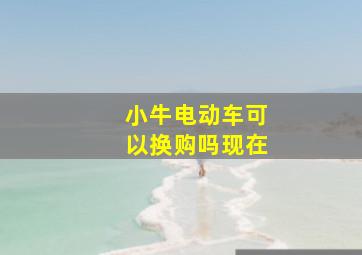 小牛电动车可以换购吗现在